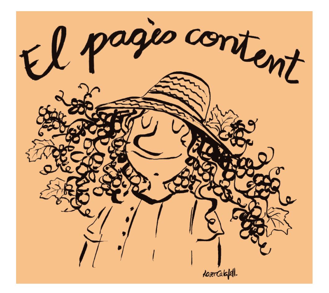 Cellar La Salada El Pages Content Orange 2024 white wine bottle 750mL from Spain
