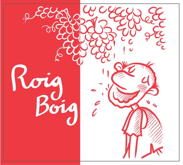 Cellar La Salada Roig Boig Tinto 2023 bottle 750mL from Spain