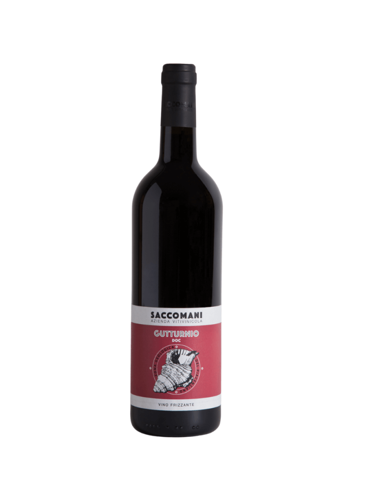 Saccomani Gutturnio Vino Frizzante 2022