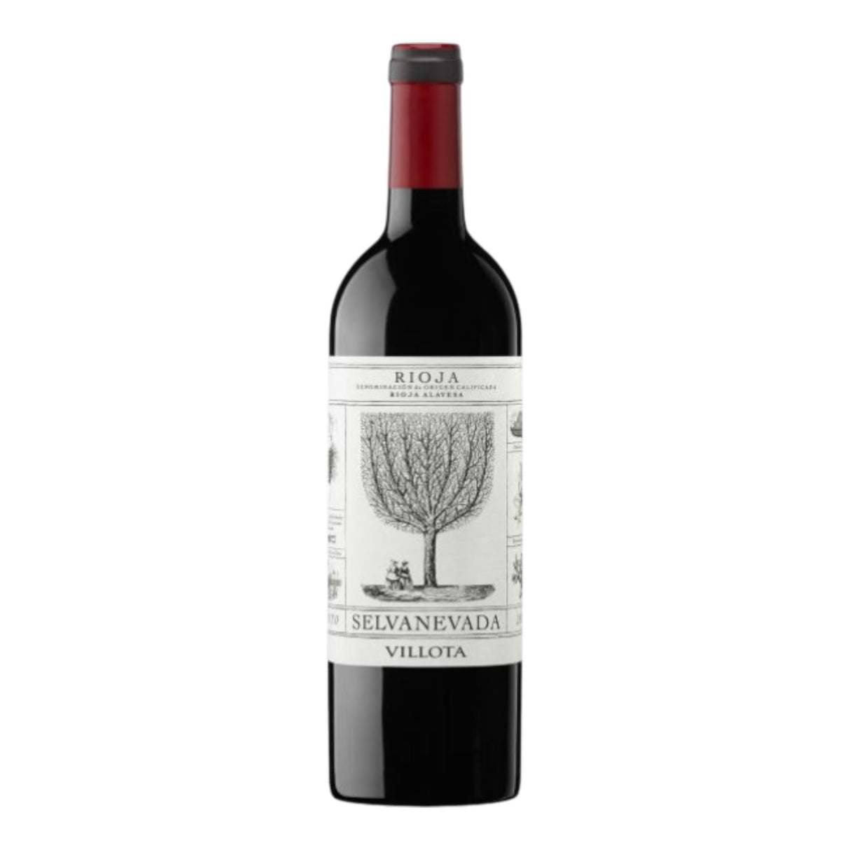 Villota Selvanevada Rioja Tinto 2022 bottle 750mL from Spain