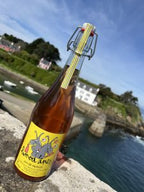 Domaine des 2 Anes Limo d??????Anes Rose NV bottle 750mL from France