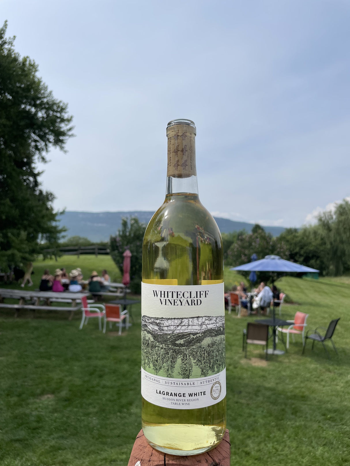 Whitecliff Vineyard LaGrange White NV bottle 750mL from USA