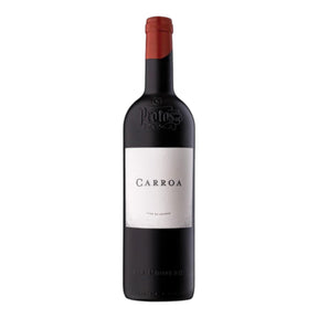 Bodegas Protos Carroa Ribera del Duero 2021 red wine bottle 750mL from Spain