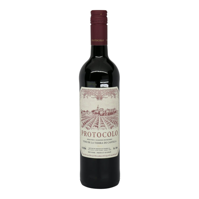Dominio de Eguren Protocolo Tinto 2023 bottle 750mL from Spain
