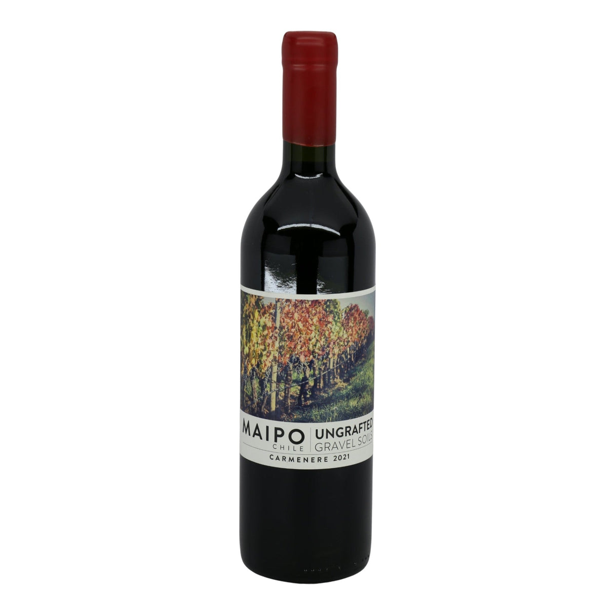 Ungrafted Gravel Soils Carmenere 2023 red wine bottle 750mL from Chile