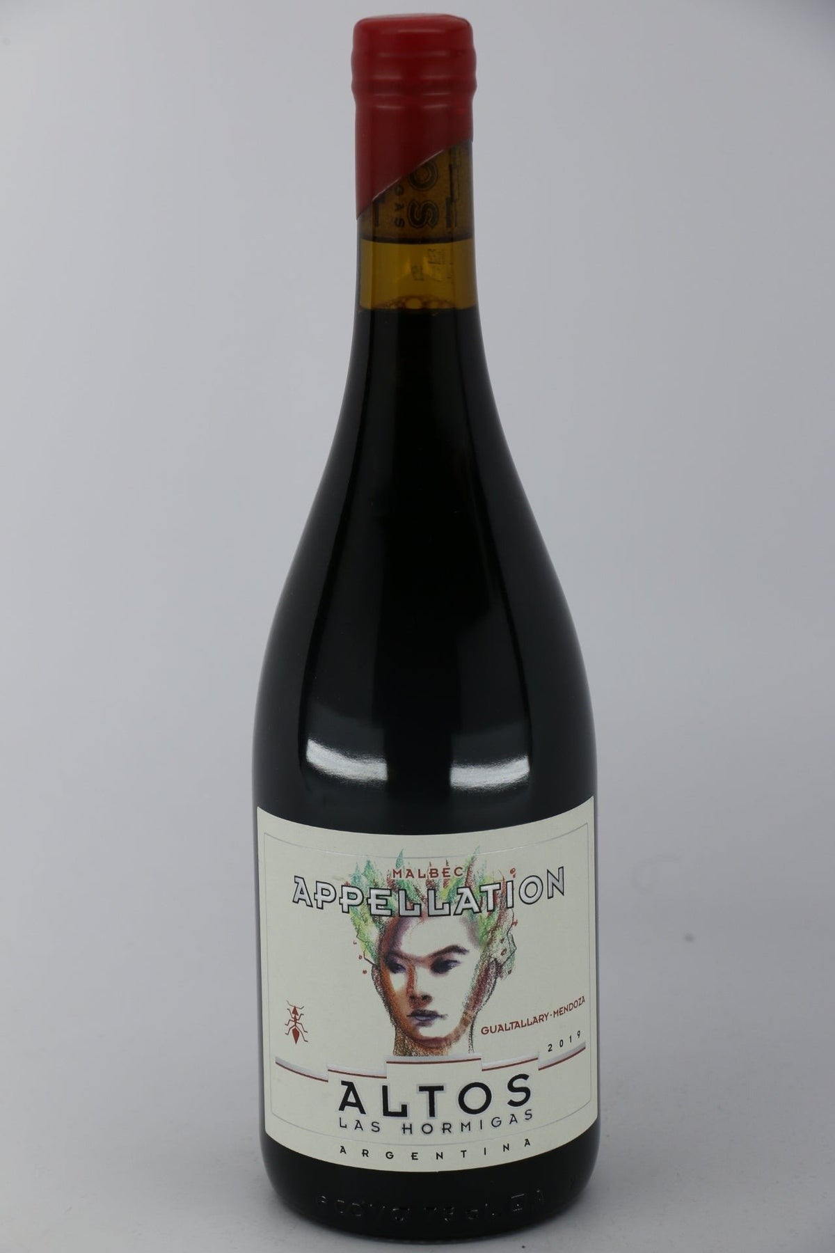 Altos Las Hormigas Gualtallary Malbec 2019 red wine bottle 750mL from Argentina