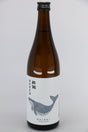 Suigei Shuzo Tokubetsu Junmai Drunken Whale Sake 720mL bottle from Japan